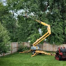 Best Commercial Tree Removal  in Chester, SC